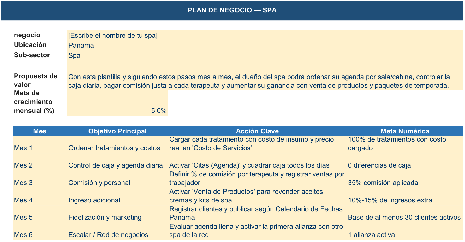 Business Plan sheet of the Management Tool Spa